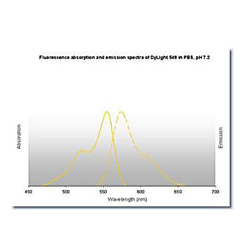 Anti-MOUSE IgG (H&L) (SHEEP) Antibody DyLight™ 549 Conjugated, 100µg, Lyophilized