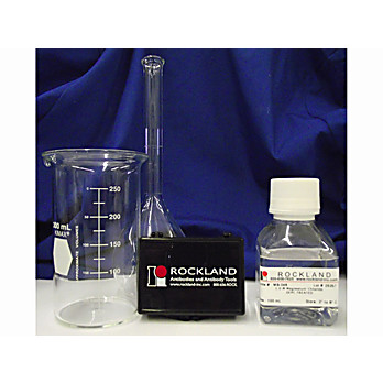 1.0 M Magnesium Chloride DEPC TREATED, 100mL, Liquid (sterile filtered)