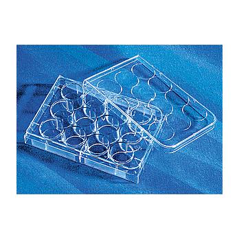 Costar® Clear Not Treated Multiple Well Plates