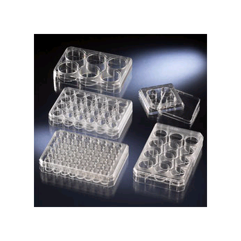 Multidish PS 4 Well Non-Treated w / Lid Sterile 66X66
