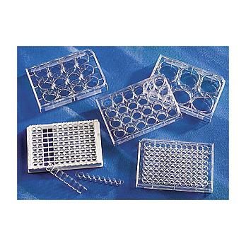 Corning® 96 Well (1 x 8 Stripwell™) Clear Flat Bottom Polystyrene TC-Treated Microplates, Individually Wrapped, with Lid, Sterile