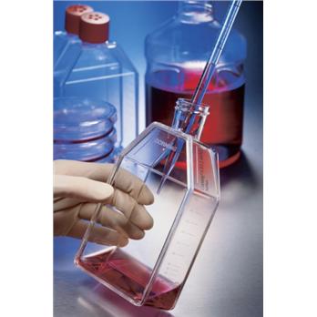 CellBind Rectangular Canted Neck Cell Culture Flask