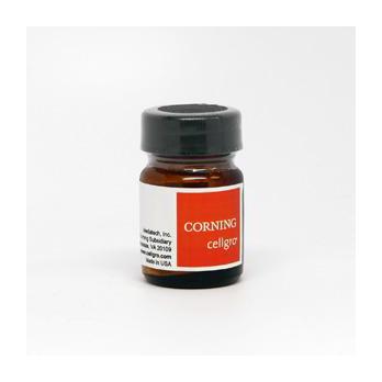 Carbenicillin, Disodium Salt, Powder