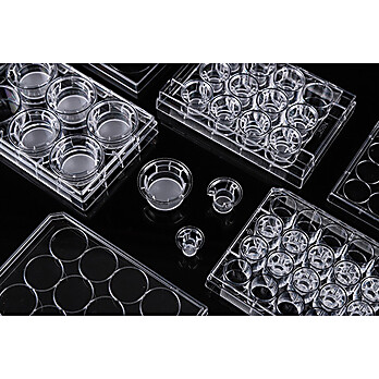 12 Cell Culture Inserts+12 Well Plate, 3 µm, PC Membrane, Non-Treated, Sterile, 12/pk, 120/cs