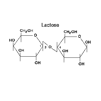 Lactose Broth Granulated