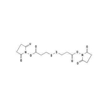 3,3'-Dithiodipropionic Acid di(N-Hydroxysuccinimide Ester), 1 g