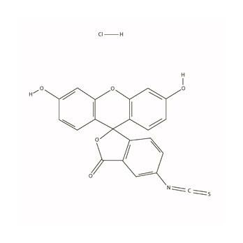 Fluorescein Isothiocyanate, 500 mg
