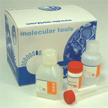 Blood PCR Kit
