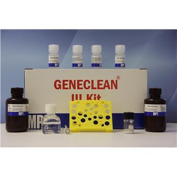 GENECLEAN® III Kit