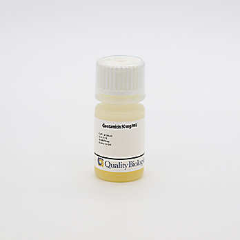 Gentamicin, 50mg/mL