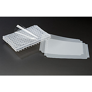 Real Time PCR Plate Seal
