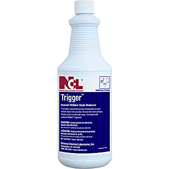 TRIGGER™ Instant Mildew Stain Remover