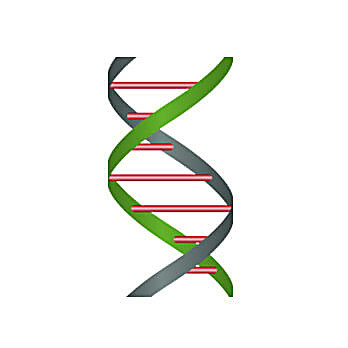 ExtractNow™ DNA Mini Kits