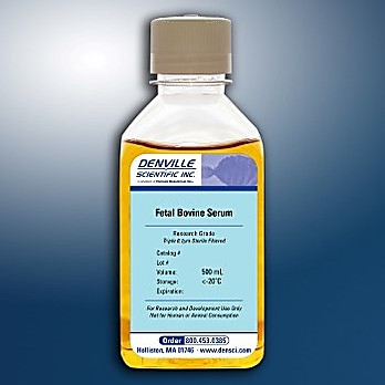 Fetal Bovine Serum (FBS), Premium US Source, Heat Inactivated