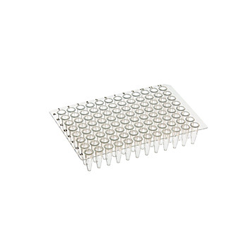 Amplifyt™ 96-Well PCR Plates - No-Skirt