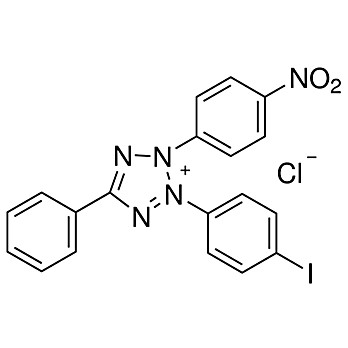 Iodonitrotetrazolium Chloride (INT)