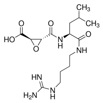 ROCHE E-64, N-[N-(L-3-Trans-carboxirane-2-carbonyl)-L-leucyl]-agmatine