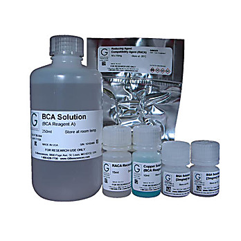 Bicinchoninic Acid (BCA) Protein Assay