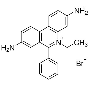 Ethidium Bromide Solution