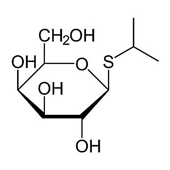 IPTG (Isopropyl ß-D-1-thiogalactopyranoside)