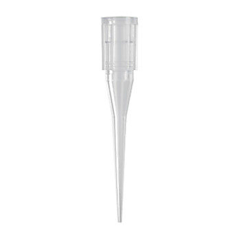 250µl Clear Wide Bore Pipet Tips for Beckman FX Robotics System