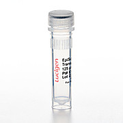 EpiScript™ RNase H- Reverse Transcriptase