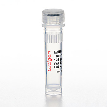 EpiScript™ RNase H- Reverse Transcriptase