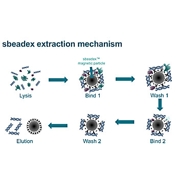 Sbeadex viral RNA Purification Kit
