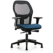 Executive Windrowe Mesh Back Chair with Standard Adjustable Arms