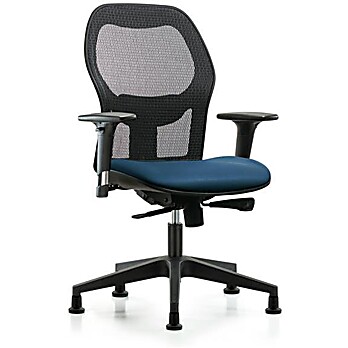 Executive Windrowe Mesh Back Chair with Standard Adjustable Arms