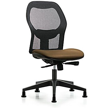 Executive Windrowe Mesh Back Chair with Taupe