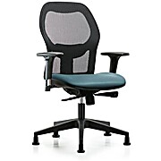 Executive Windrowe Mesh Back Chair with Standard Adjustable Arms