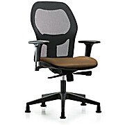 Executive Windrowe Mesh Back Chair with Standard Adjustable Arms