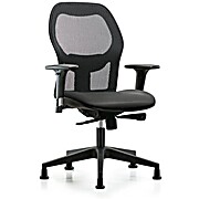 Executive Windrowe Mesh Back Chair with Standard Adjustable Arms