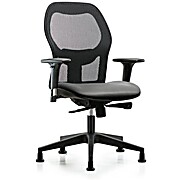 Executive Windrowe Mesh Back Chair with Standard Adjustable Arms