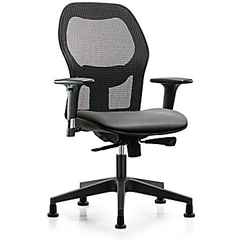 Executive Windrowe Mesh Back Chair with Standard Adjustable Arms