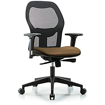Executive Windrowe Mesh Back Chair with Standard Adjustable Arms