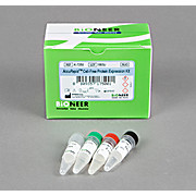 AccuRapid™