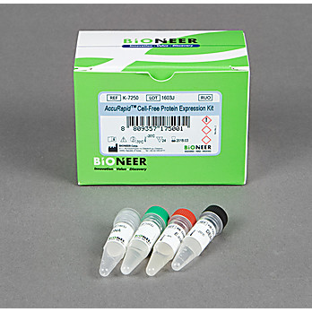 AccuRapid™ Cell-Free Protein Expression Kit