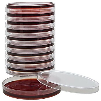 Campy-Cefex Agar, Modified for Campylobacter