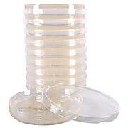 MRSA Screen Plate, Mueller Hinton Agar with 4% Sodium Chloride and 6mcg/ml of Oxacillin