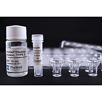 VitroGel® IKVAV Cell Invasion Assay Kits