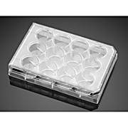 Falcon® Cell Culture Insert Companion Plates