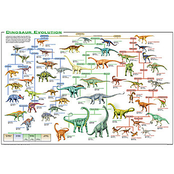 Dinosaur Poster Set of 4, Laminated