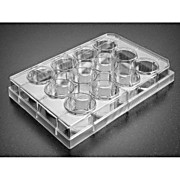 Corning® Primaria™ Culture Plates