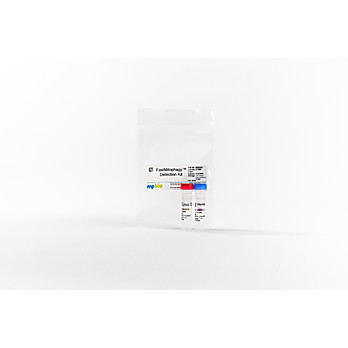 FastMitophagy™ Detection Kit, 1 Kit
