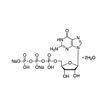 GUANOSINE-5'-TRIPHOSPHATE disodium salt, =95%, 100 mg 