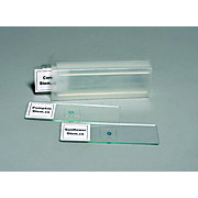 PREPARED SLIDE SET, 4 SLIDES