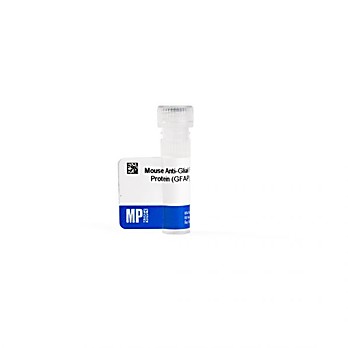 Anti-glial fibrillary acidic protein (GFAP) mouse monoclonal antibody, 0.5 mL