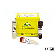 Quick SARS-CoV-2 Multiplex Kit